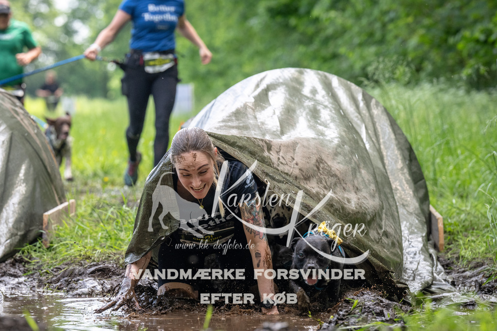 1138_ZZ93500 | kk-dogfotos