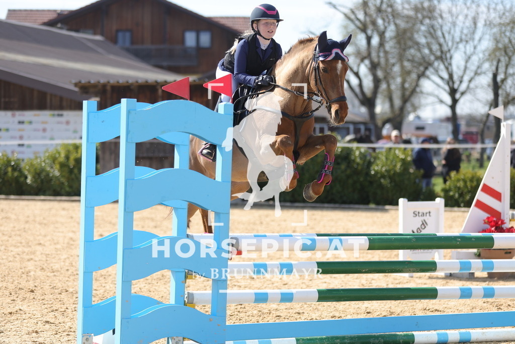 0P6A1702 | Willkommen bei Brunnmayr - Design & Fotografie – Ihrem Spezialisten für Reitturniere und Pferdeveranstaltungen in Oberösterreich, Salzburg und Bayern! Seit über 17 Jahren sind wir leidenschaftlich dabei.
