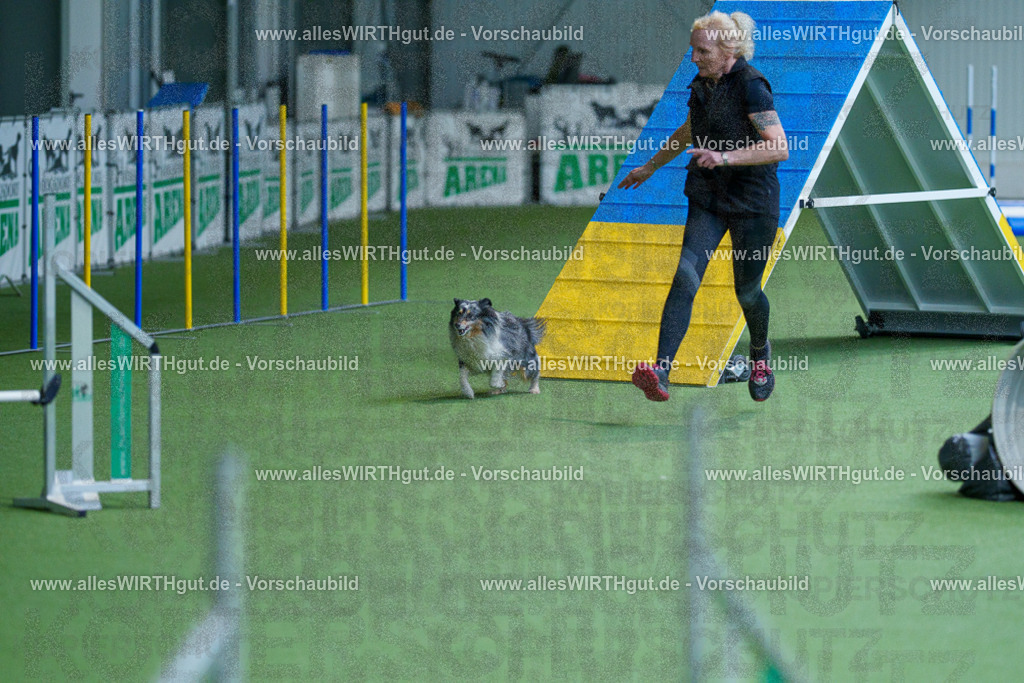 @allesWIRTHgut_Tierfotografie - www.allesWIRTHgut.de - 2604261458-7R504180 | Professionelle Tierfotografie in Mönchengladbach von Daniel Wirth (allesWIRTHgut). Liebevolle & natürliche Bilder von Hunden & Katzen für unvergessliche Erinnerungen.