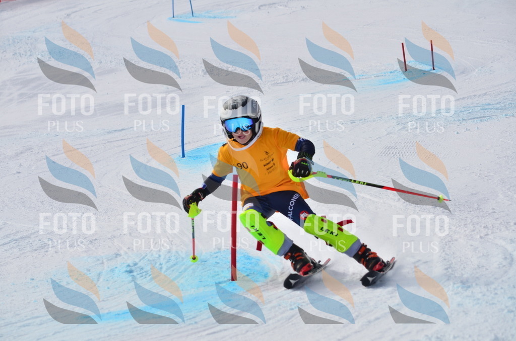 C8054 | holidayphoto