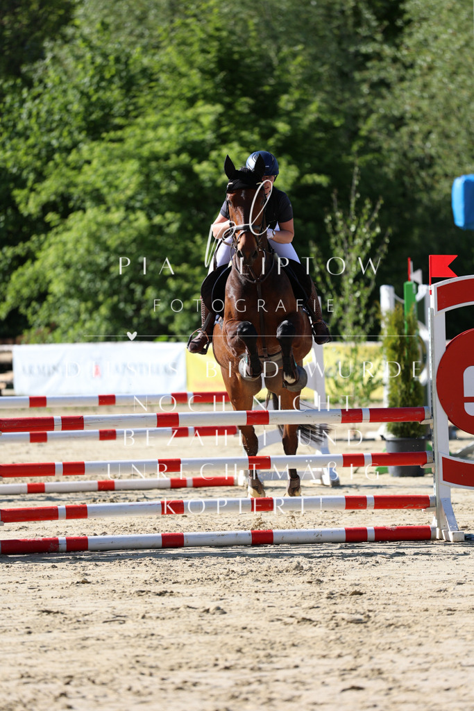 IMGS5440 | pl-fotografie