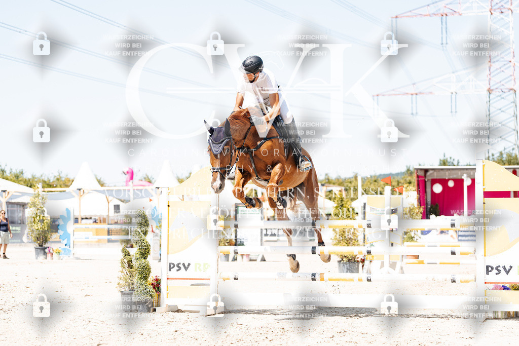CK909808 | Turnierfotografie Pferdefotografie Trier Rheinland-Pfalz Pferdesport Reitsport Tierfotografie Sportfotografie Pferdevideo Pferdevideografie Equestrianvideography equestrianphotography  - Realisiert mit Pictrs.com