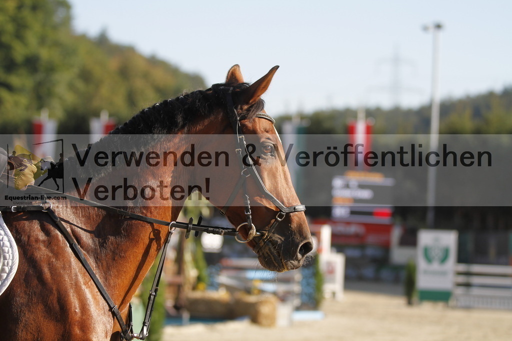 _MG_3533 | equestrian-live-com
