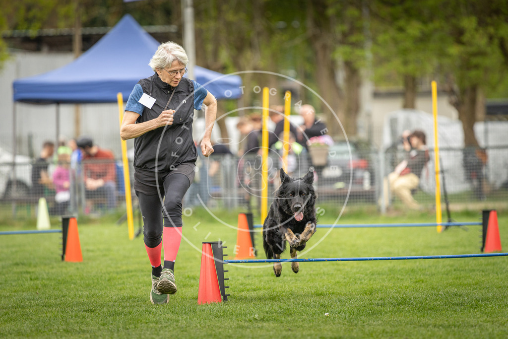 Pfotenfotografie_DV3A0918 | Hundefotografie, Tierfotograf, Pfotenfotografie, Fotoshooting Hund, Hunde Portrait, Hundesport, Hundeportraits, Heideshooting, Hunde, Sportfotograf, Hundefotograf, Turnierhundsport, THS,  - Realisiert mit Pictrs.com