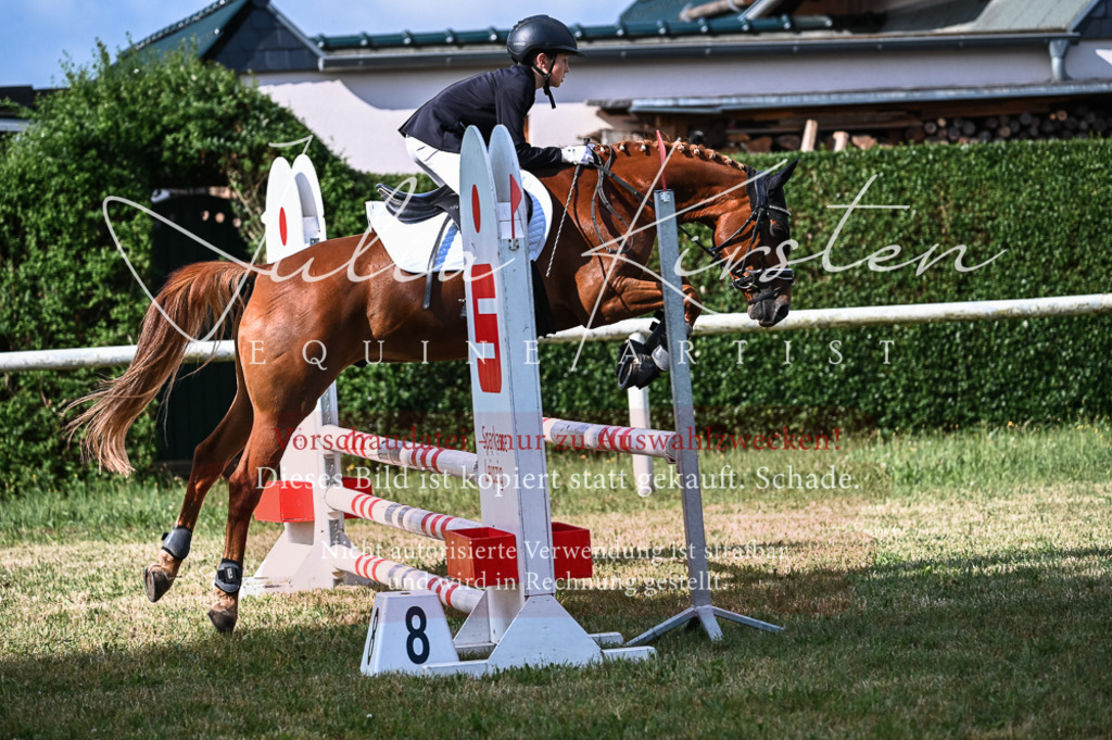 DSC_7793 | Pferde- und Turnierfotografie in Westsachsen. Pferdeportraits, Auftragszeichnungen und intuitive Kunst.