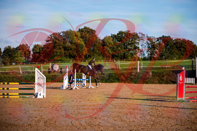 2026_10_03_Siefer-Hof_171044_Z81_07697908 | Professionelle Reitsport-, Turnier- und Eventfotografie von Robert Broda. Galerien mit ausgewählten und bearbeiteten Bildern direkt online ansehen und bestellen.
