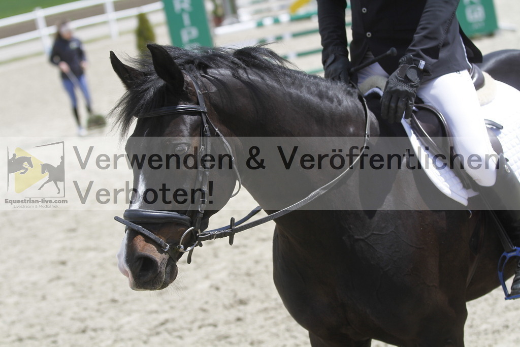 _MG_2044 | equestrian-live-com