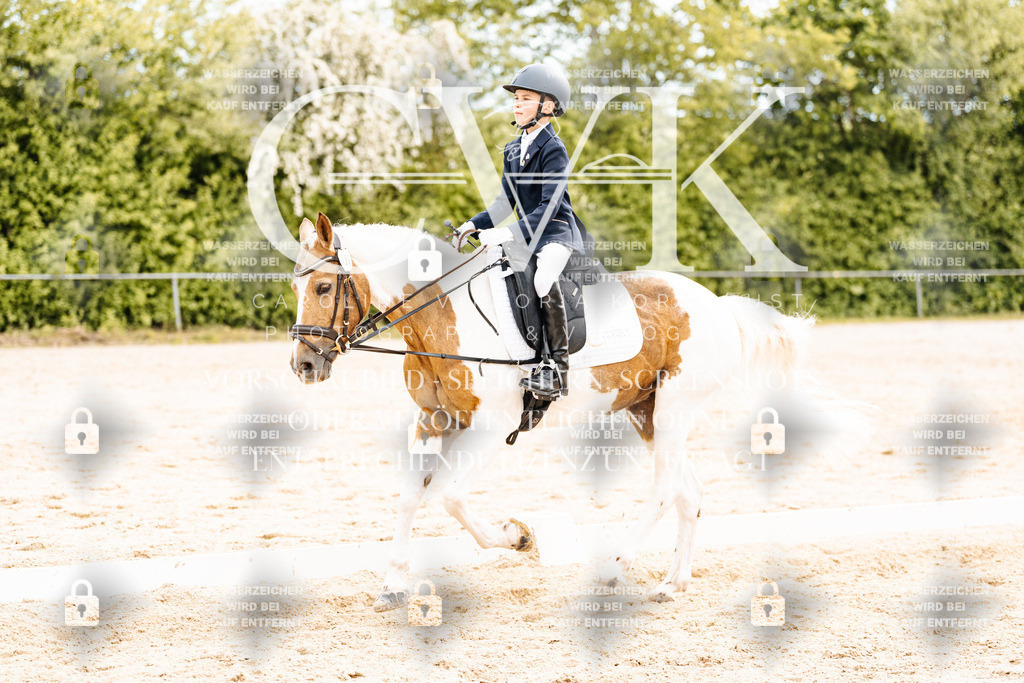 CK904623 | Turnierfotografie Pferdefotografie Trier Rheinland-Pfalz Pferdesport Reitsport Tierfotografie Sportfotografie Pferdevideo Pferdevideografie Equestrianvideography equestrianphotography  - Realisiert mit Pictrs.com