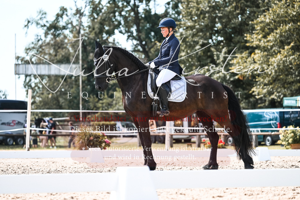 DSC_5415 | Pferde- und Turnierfotografie in Westsachsen. Pferdeportraits, Auftragszeichnungen und intuitive Kunst.