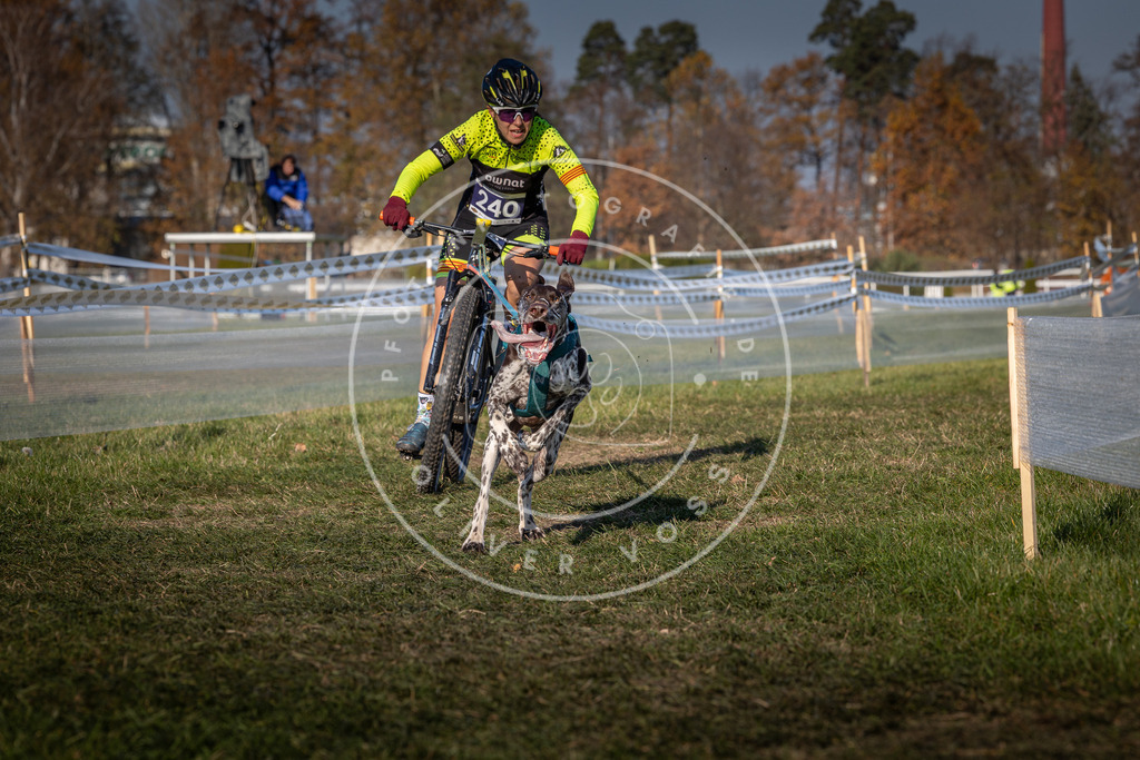 CaniXpix_0L8A6371 | Hundefotografie, Tierfotograf, Pfotenfotografie, Fotoshooting Hund, Hunde Portrait, Hundesport, Hundeportraits, Heideshooting, Hunde, Sportfotograf, Hundefotograf, Turnierhundsport, THS,  - Realisiert mit Pictrs.com