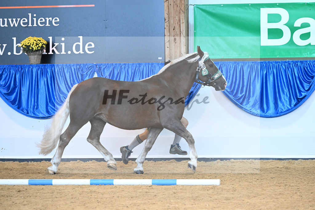 Kat-Nr. 80 Madeleine_Hartl_53220405 | hf-fotografie - Realisiert mit Pictrs.com