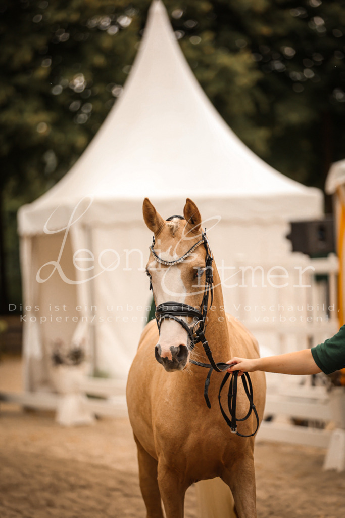 10.So00152 | Leoni Ertmer Photography - Realisiert mit Pictrs.com