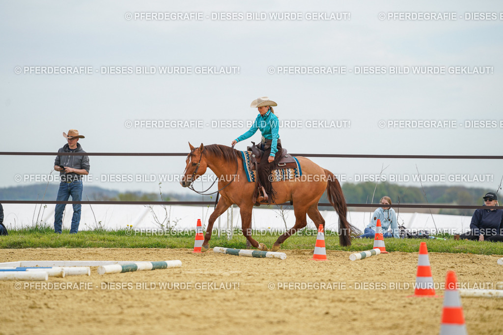 DSC03097 | Pferdegrafie