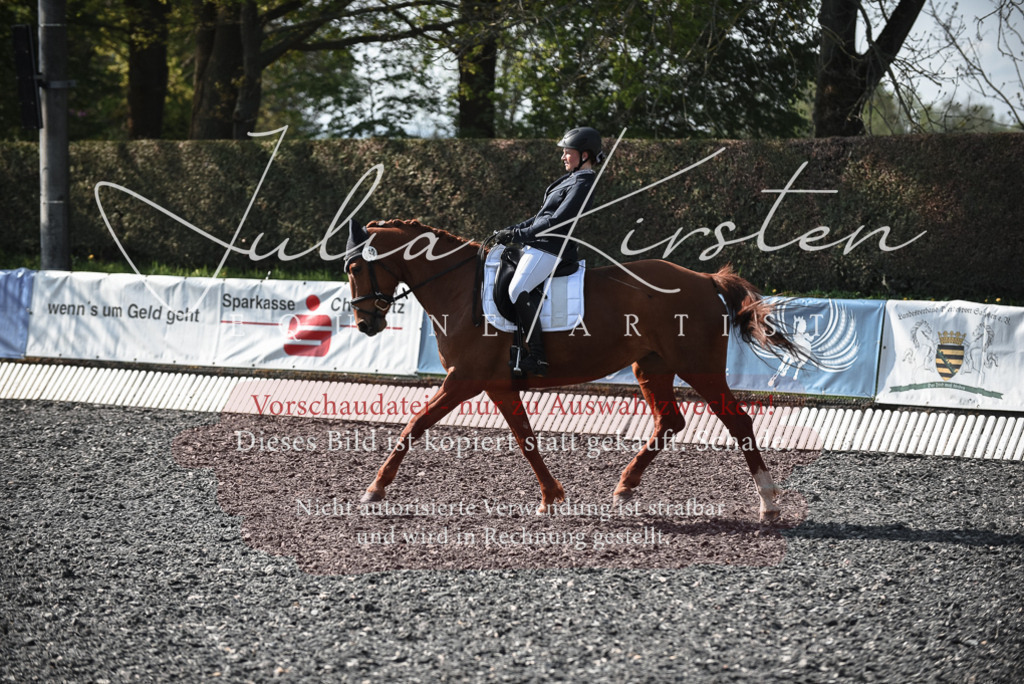 20230513_JK-Röhrsdorf-14-059 | Pferde- und Turnierfotografie in Westsachsen. Pferdeportraits, Auftragszeichnungen und intuitive Kunst.