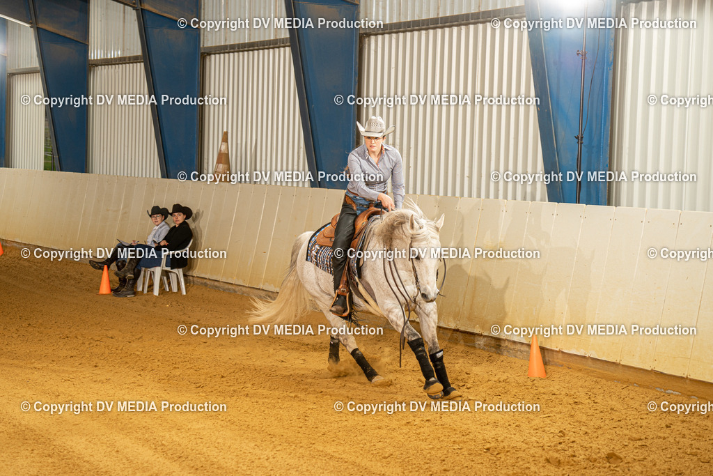 MIT00560 | dv-media-shop - Realisiert mit Pictrs.com