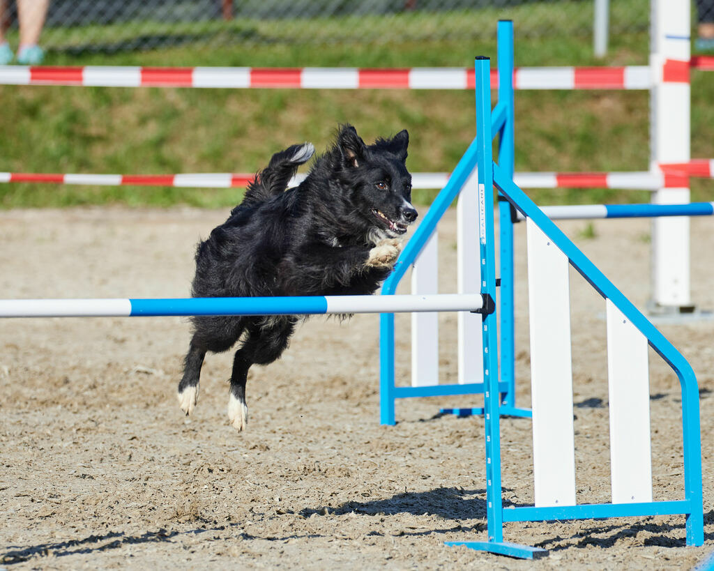 580A0114 | Peter Fridle Fotografie - Realisiert mit Pictrs.com