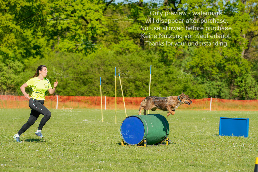 Sa_CSC-479 | stephaniefillaphotographie - Realisiert mit Pictrs.com