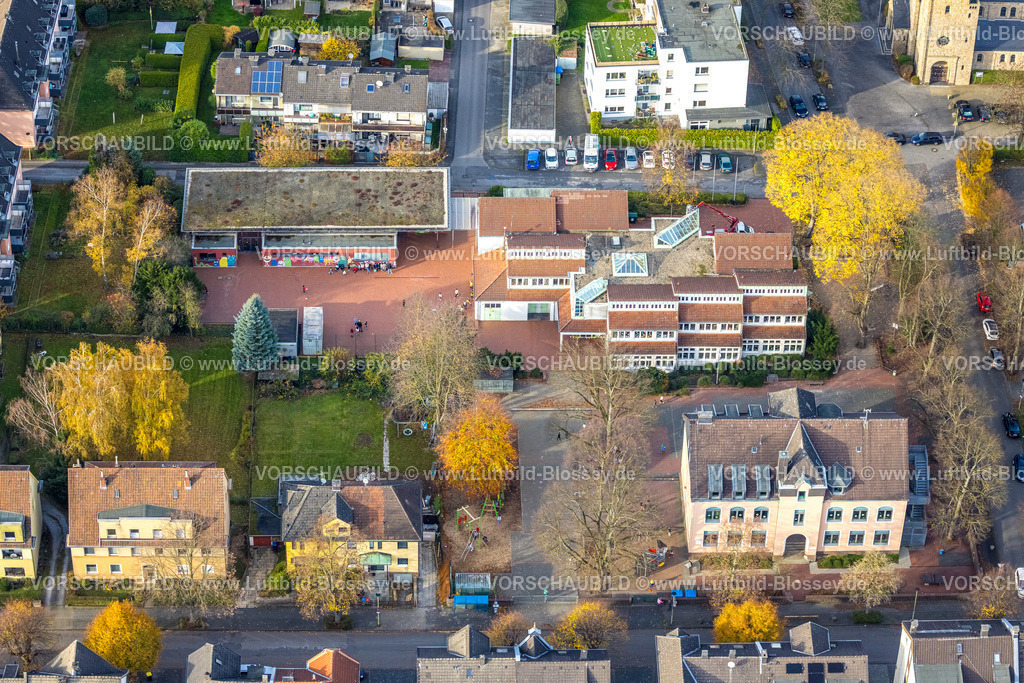Hagen251102671 | Luftbild, Freiherr-vom-Stein Schule, vorne die Liebfrauenschule Städt. Kath. Grundschule, herbstliche Bäume, Vorhalle, Hagen, Ruhrgebiet, Nordrhein-Westfalen, Deutschland