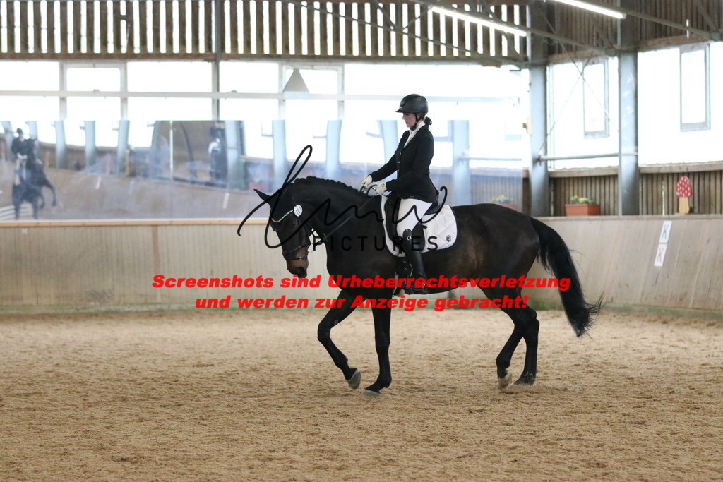 IMG_6898 | lmwpictures - Realisiert mit Pictrs.com