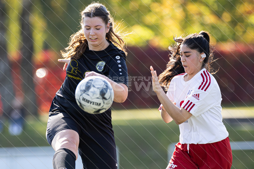 20250928_Picselweb-Fotografie_1R3_1104 | Dein Fotograf aus dem Landkreis Stade für Sport und Events - Realisiert mit Pictrs.com