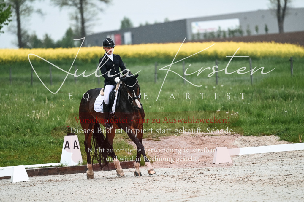 DSC_4133 | Pferde- und Turnierfotografie in Westsachsen. Pferdeportraits, Auftragszeichnungen und intuitive Kunst.