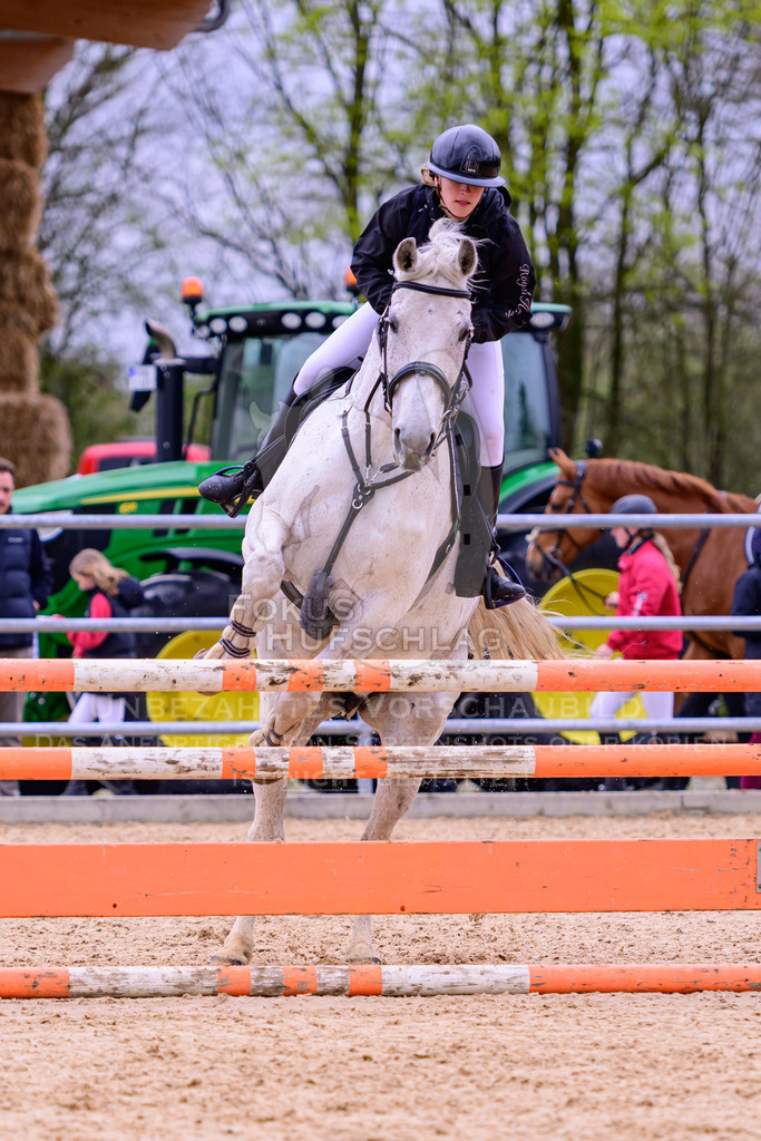 12042026-Mammendorf-Prfg39-0382 | Fokus Hufschlag Fotografie - Realisiert mit Pictrs.com