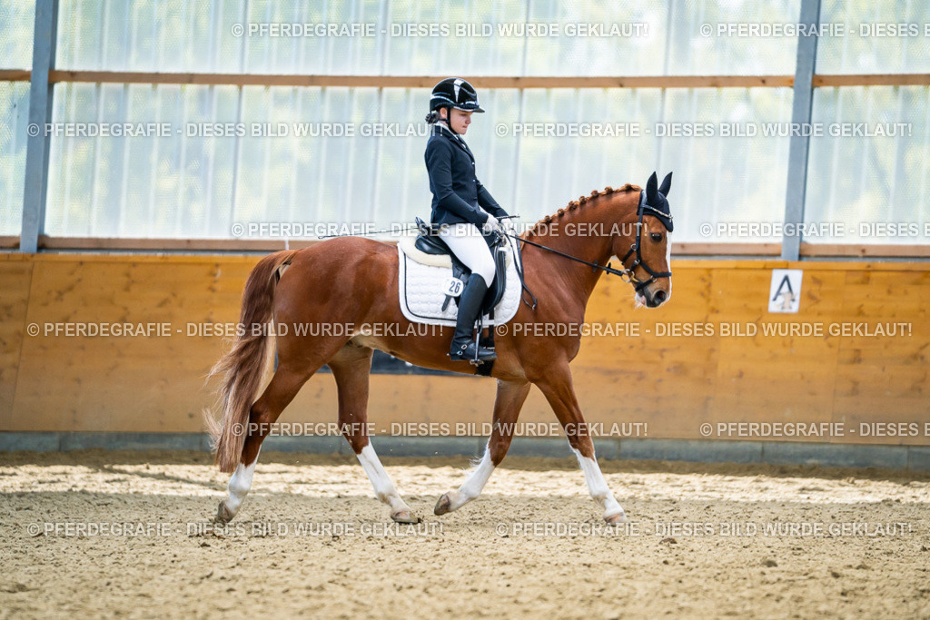 DSC05325 | Pferdegrafie