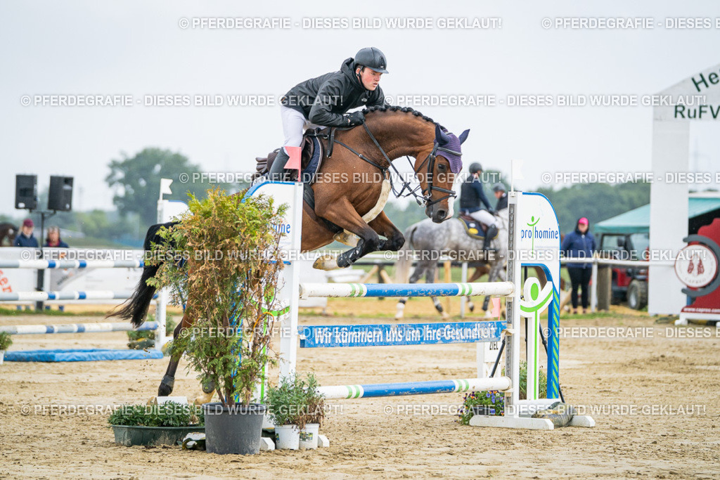 DSC02134 | Pferdegrafie