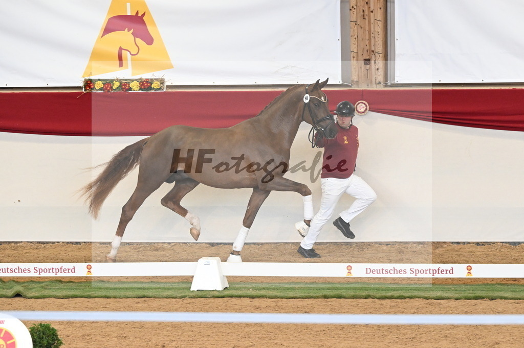 Kat.-Nr. 58 v. Filox_Rothenberger_3260624 | hf-fotografie - Realizzato con Pictrs.com