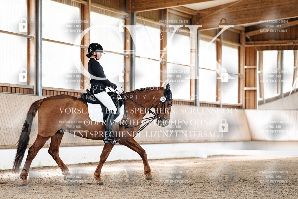 CK900637 | Turnierfotografie Pferdefotografie Trier Rheinland-Pfalz Pferdesport Reitsport Tierfotografie Sportfotografie Pferdevideo Pferdevideografie Equestrianvideography equestrianphotography  - Realisiert mit Pictrs.com