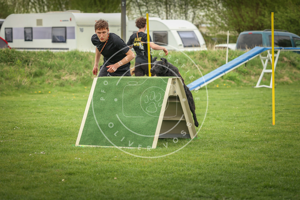 Pfotenfotografie_0L8A0467 | Hundefotografie, Tierfotograf, Pfotenfotografie, Fotoshooting Hund, Hunde Portrait, Hundesport, Hundeportraits, Heideshooting, Hunde, Sportfotograf, Hundefotograf, Turnierhundsport, THS,  - Realisiert mit Pictrs.com