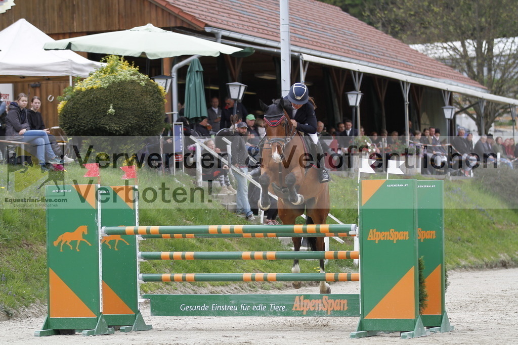 _MG_4153 | equestrian-live-com