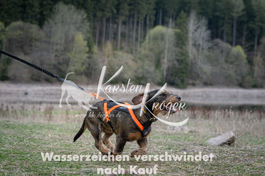 1842_ZZ90056 | kk-dogfotos