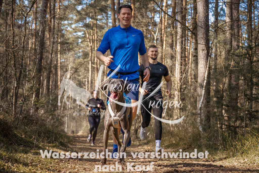 1221_ZZ93320-Bearbeitet | kk-dogfotos