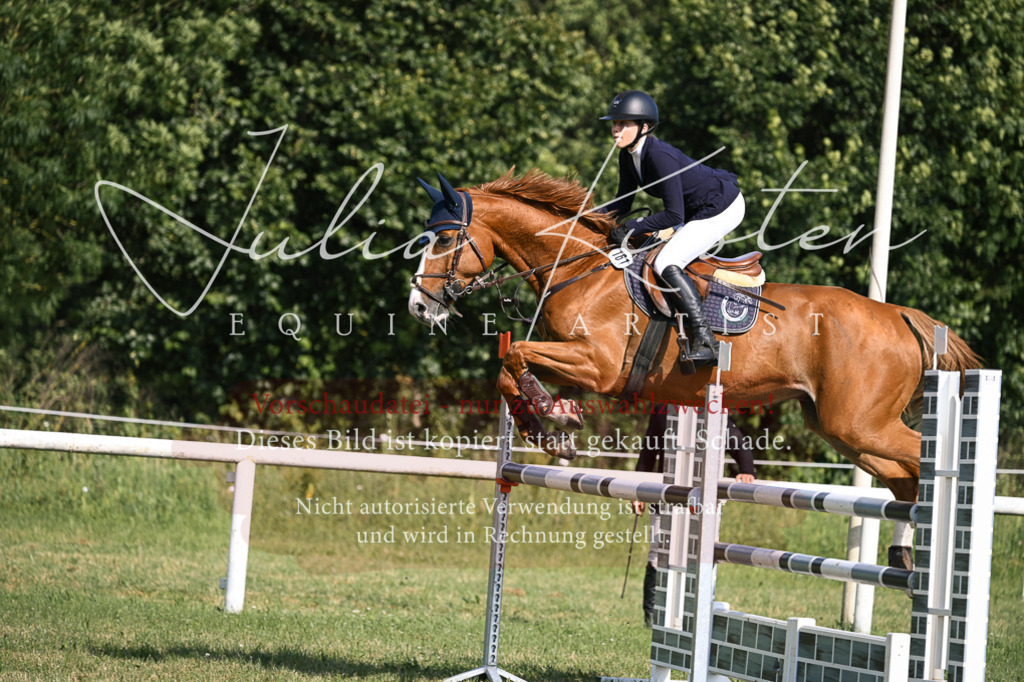 DSC_1211 | Pferde- und Turnierfotografie in Westsachsen. Pferdeportraits, Auftragszeichnungen und intuitive Kunst.