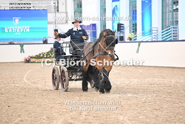Unser Günther_974_5730 | Björn Schroeder Pferdefotografie