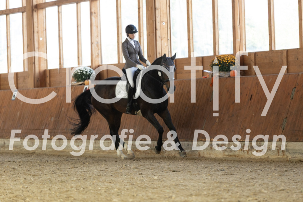 IMG_4746 | Creatify Fotografie