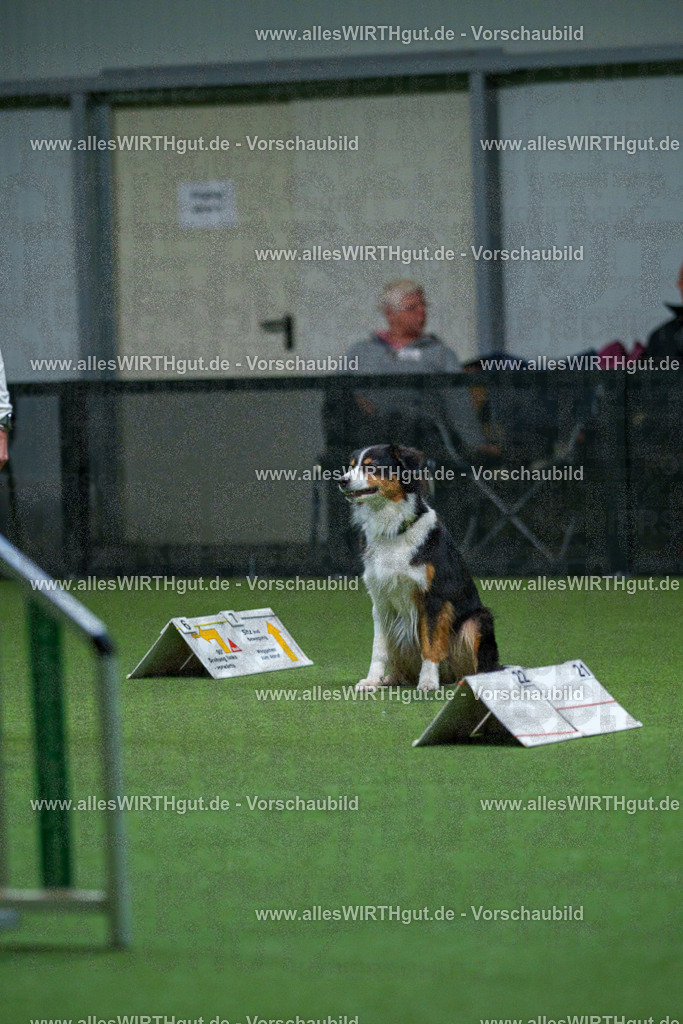 7R503285 | Professionelle Tierfotografie in Mönchengladbach von Daniel Wirth (allesWIRTHgut). Liebevolle & natürliche Bilder von Hunden & Katzen für unvergessliche Erinnerungen.