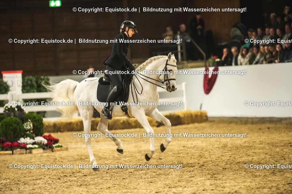 20240302_Hengstvorstellung_Marbach_TOMsPiC_1096-2 | equistock