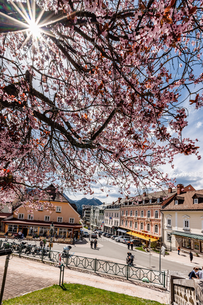 Mariazell basilika 30042022-6337 | Fotos und Fotoprodukte - Realisiert mit Pictrs.com