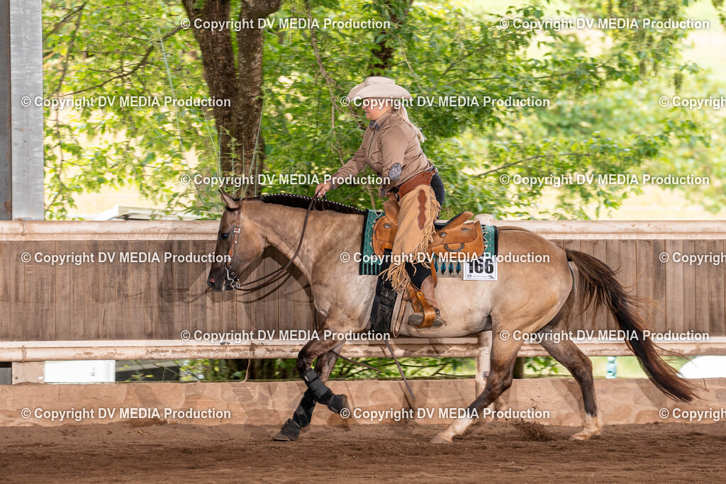 Erbach Tag 3-1444 | dv-media-shop - Realisiert mit Pictrs.com