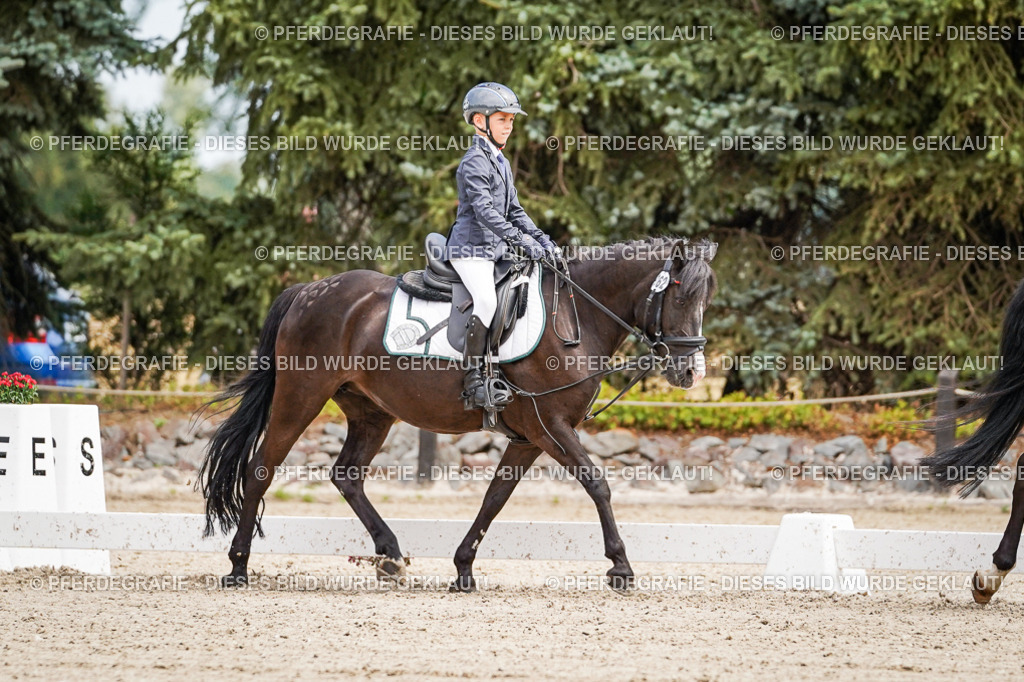 DSC02713 | Pferdegrafie