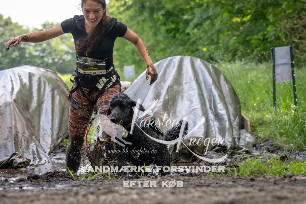 1149_ZZ94834 | kk-dogfotos