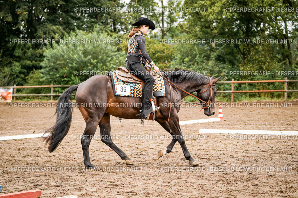 DSC04345 | Pferdegrafie