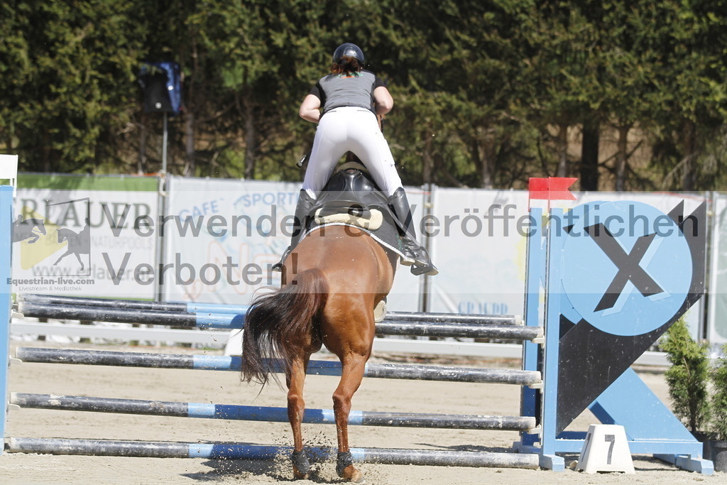 _MG_6565 | equestrian-live-com