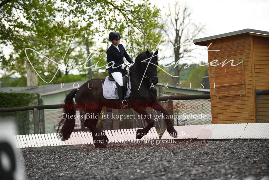 20230513_JK-Röhrsdorf-15-045 | Pferde- und Turnierfotografie in Westsachsen. Pferdeportraits, Auftragszeichnungen und intuitive Kunst.