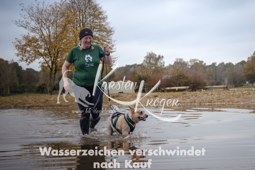 1331_ZZ94211 | kk-dogfotos