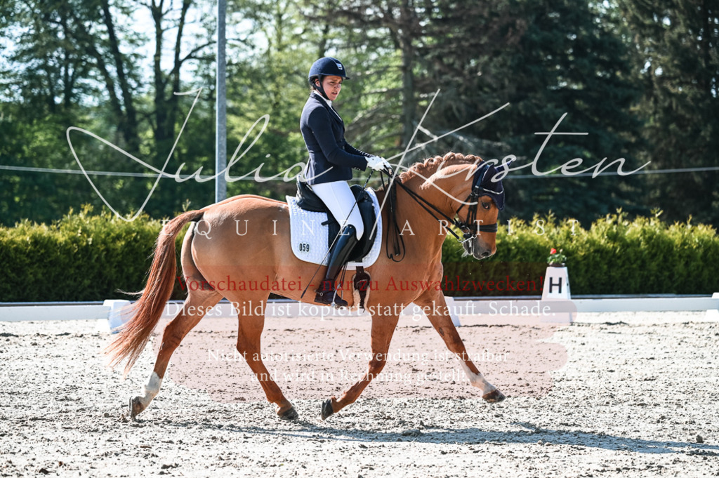 20230514_JK-Röhrsdorf-18-284 | Pferde- und Turnierfotografie in Westsachsen. Pferdeportraits, Auftragszeichnungen und intuitive Kunst.