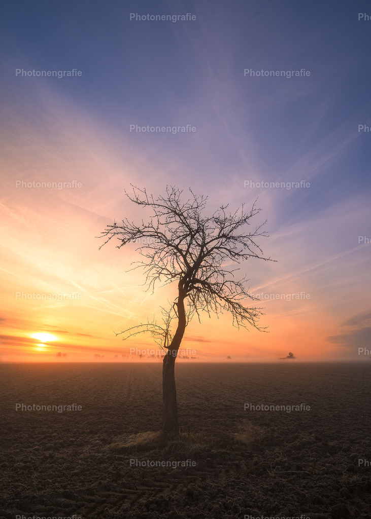 Ingelheim-2 | Photonengrafie´s Shop - Realisiert mit Pictrs.com