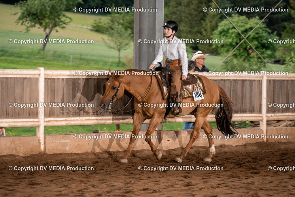 Erbach Tag 1-1110 | dv-media-shop - Realisiert mit Pictrs.com